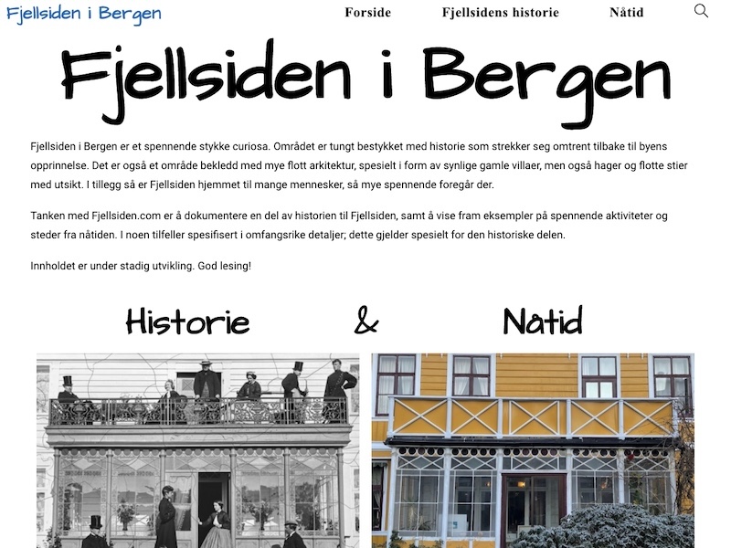 Fjellsiden Nettsted